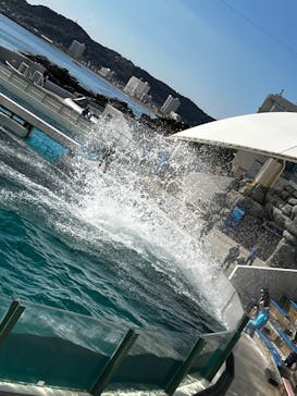 鴨川シーワールドに投稿された画像（2023/12/26）