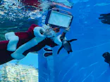 サンシャイン水族館に投稿された画像（2023/12/26）