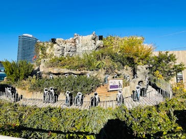 サンシャイン水族館に投稿された画像（2023/12/26）