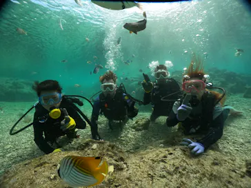 武藤潜水に投稿された画像（2023/12/26）