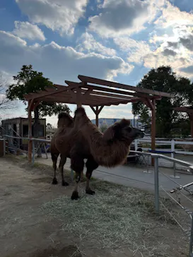 神戸どうぶつ王国に投稿された画像（2023/12/26）