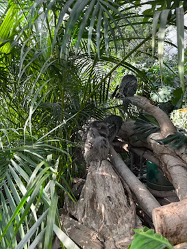 神戸どうぶつ王国に投稿された画像（2023/12/26）