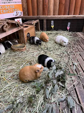 神戸どうぶつ王国に投稿された画像（2023/12/26）