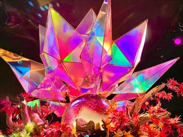 NARA KINGYO MUSEUMに投稿された画像（2023/12/26）