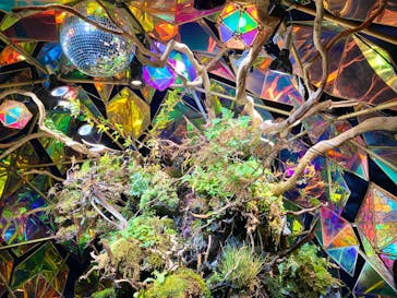 NARA KINGYO MUSEUMに投稿された画像（2023/12/26）