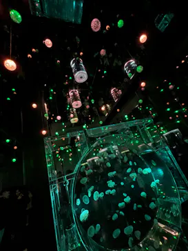 マクセル アクアパーク品川に投稿された画像（2023/12/26）