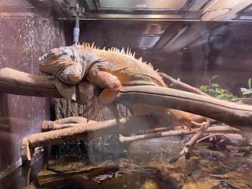 マクセル アクアパーク品川に投稿された画像（2023/12/26）