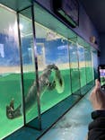 下田海中水族館に投稿された画像（2023/12/26）