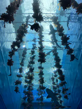 仙台うみの杜水族館に投稿された画像（2023/12/26）