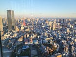 六本木ヒルズ展望台 東京シティビューに投稿された画像（2023/12/26）