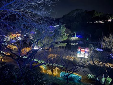 鹿児島イルミナージュに投稿された画像（2023/12/26）