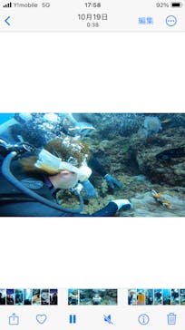 DIVING-SHOP SUNSに投稿された画像（2023/12/26）