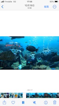 DIVING-SHOP SUNSに投稿された画像（2023/12/26）