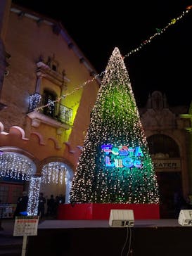 フェスタ・ルーチェに投稿された画像（2023/12/26）