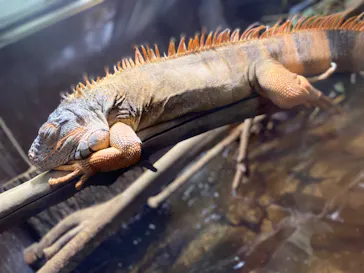 マクセル アクアパーク品川に投稿された画像（2023/12/26）