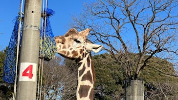 千葉市動物公園に投稿された画像（2023/12/26）