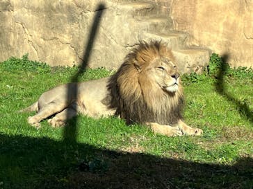 千葉市動物公園に投稿された画像（2023/12/26）