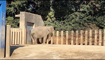 千葉市動物公園に投稿された画像（2023/12/26）