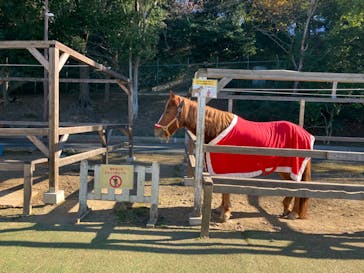 千葉市動物公園に投稿された画像（2023/12/26）