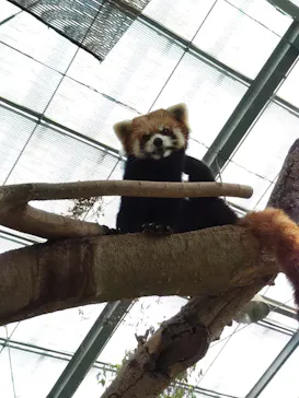 神戸どうぶつ王国に投稿された画像（2023/12/26）