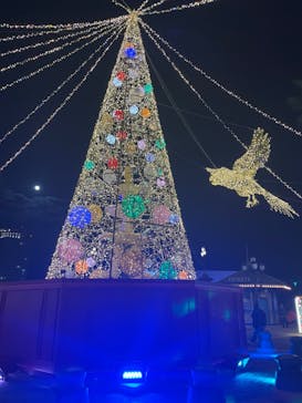 フェスタ・ルーチェに投稿された画像（2023/12/26）