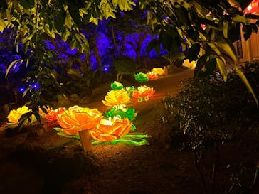 体験王国 むら咲むらに投稿された画像（2023/12/26）