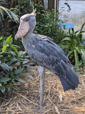 神戸どうぶつ王国に投稿された画像（2023/12/26）