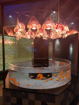 すみだ水族館に投稿された画像（2023/12/26）