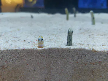 すみだ水族館に投稿された画像（2023/12/26）