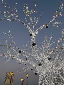 フェスタ・ルーチェに投稿された画像（2023/12/26）