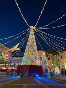 フェスタ・ルーチェに投稿された画像（2023/12/26）