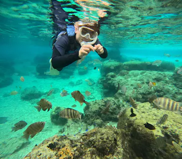 武藤潜水に投稿された画像（2023/12/27）