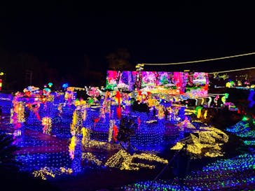 伊豆ぐらんぱる公園に投稿された画像（2023/12/27）