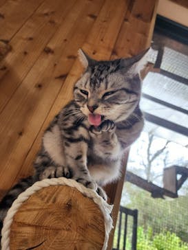 長崎バイオパークに投稿された画像（2023/12/27）