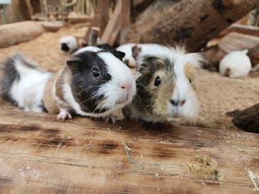 長崎バイオパークに投稿された画像（2023/12/27）