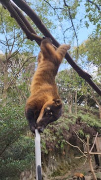 長崎バイオパークに投稿された画像（2023/12/27）