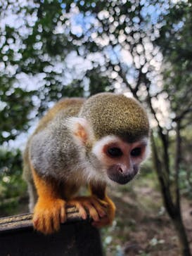 長崎バイオパークに投稿された画像（2023/12/27）