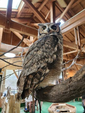 長崎バイオパークに投稿された画像（2023/12/27）