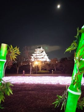 大阪城イルミナージュに投稿された画像（2023/12/27）