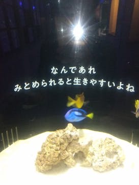 横浜開運水族館 フォーチュンアクアリウムに投稿された画像（2023/12/27）