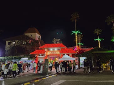 美らヤシパークオキナワ・東南植物楽園に投稿された画像（2023/12/27）