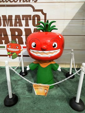 浜名湖パルパルに投稿された画像（2023/12/27）