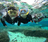 武藤潜水に投稿された画像（2023/12/27）