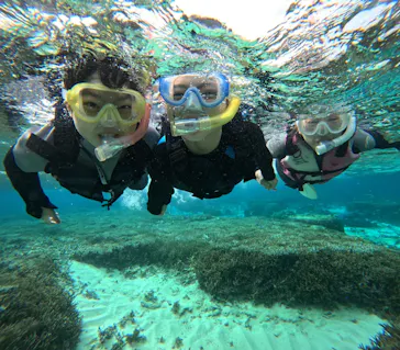 武藤潜水に投稿された画像（2023/12/27）