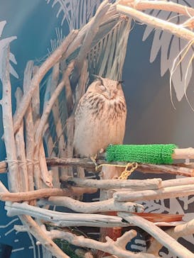 カワスイ 川崎⽔族館に投稿された画像（2023/12/27）