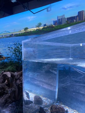 カワスイ 川崎⽔族館に投稿された画像（2023/12/27）