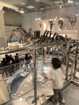 国立科学博物館に投稿された画像（2023/12/27）