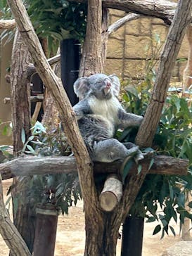 名古屋市東山動植物園に投稿された画像（2023/12/27）