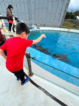 沖縄美ら海水族館に投稿された画像（2023/12/27）