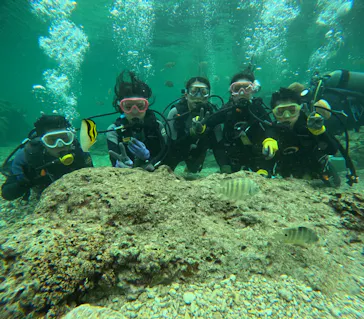 武藤潜水に投稿された画像（2023/12/27）